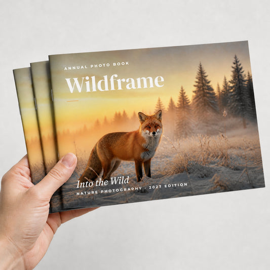 Custom 12 x 9 landscape saddle-stitched booklets held in hand