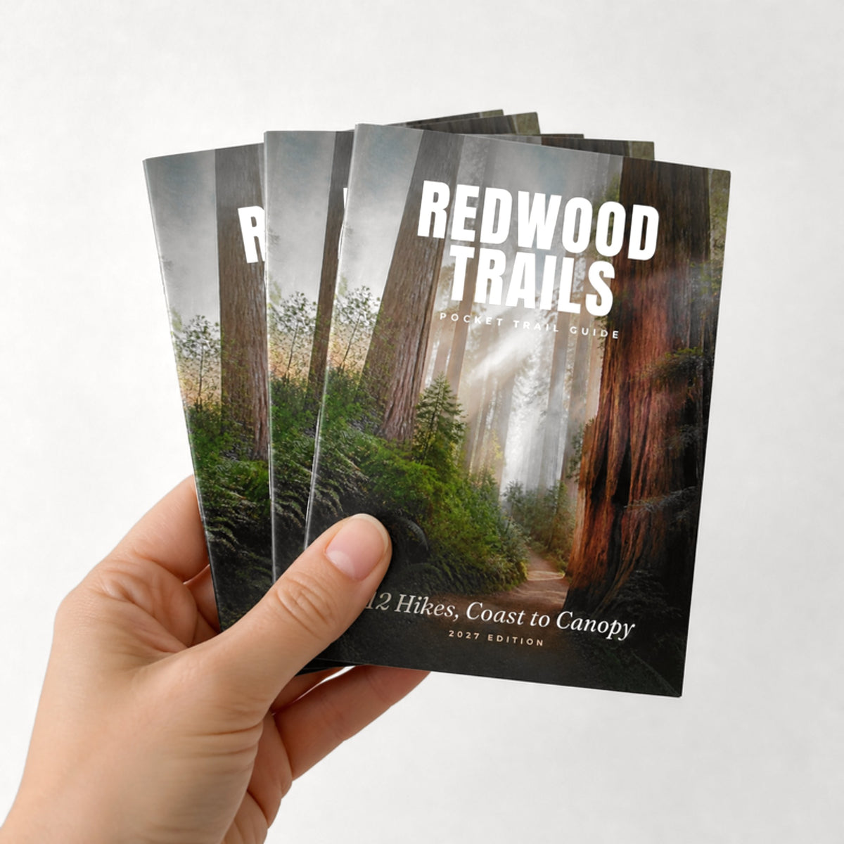 Custom 4.25 x 5.5 saddle-stitched booklets held in hand